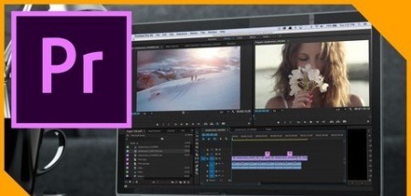 Udemy Introduction to Adobe Premiere Pro CC Master it in a Day TUTORiAL